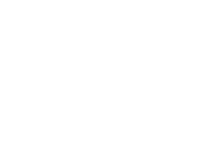 logo Mike Auto
